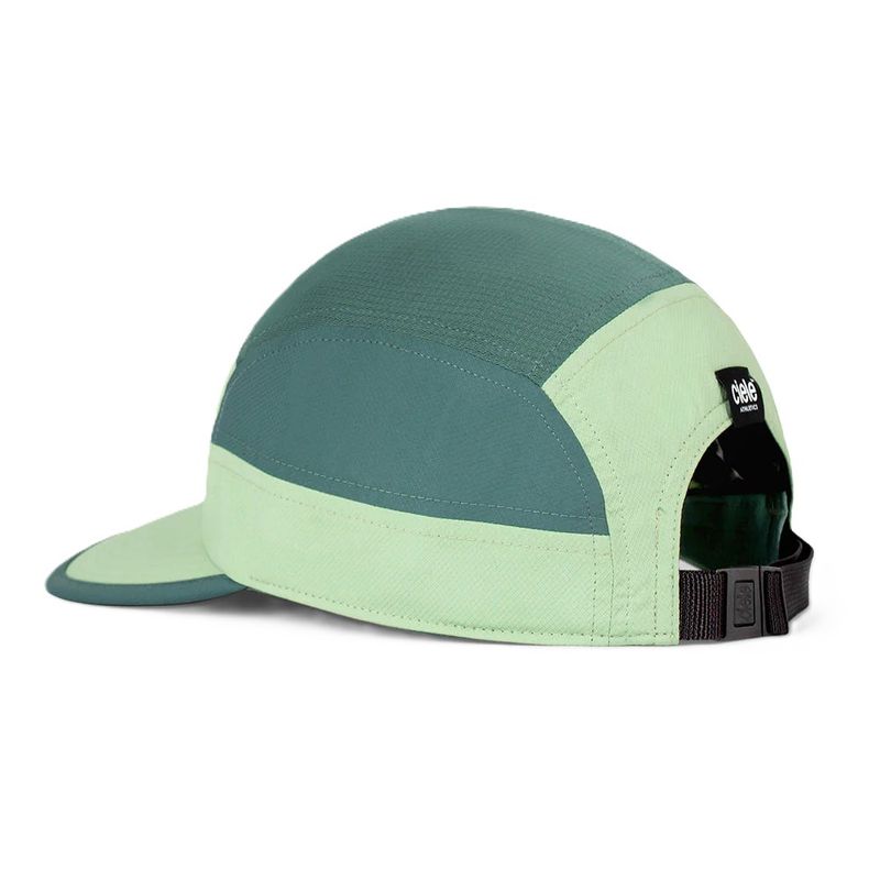 GOCap SC Classic C Plus Box Pistachio / Silver Pine